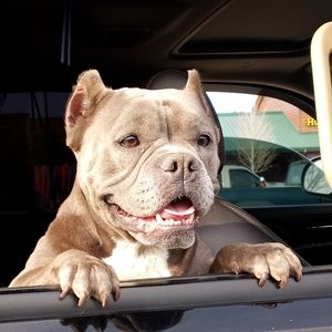 Meet your Posher, Kiley